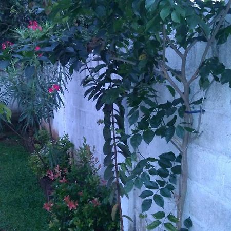 Umaya Holiday Home Anuradhapura Dış mekan fotoğraf