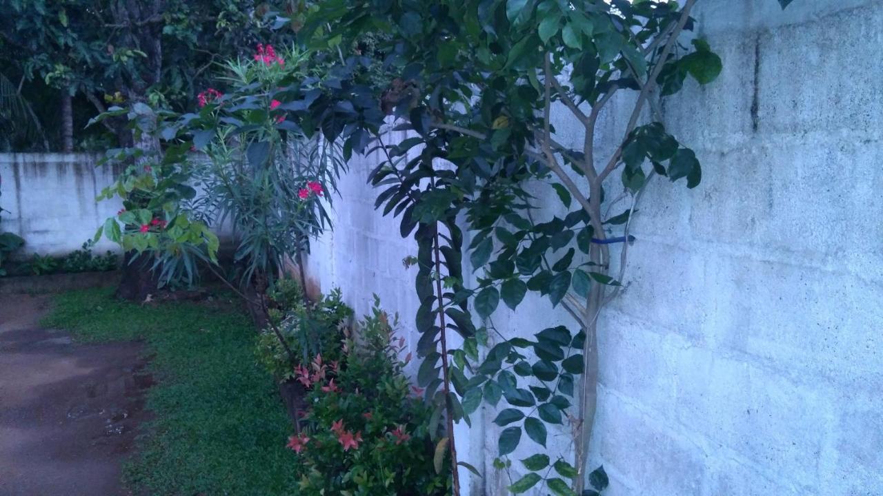 Umaya Holiday Home Anuradhapura Dış mekan fotoğraf